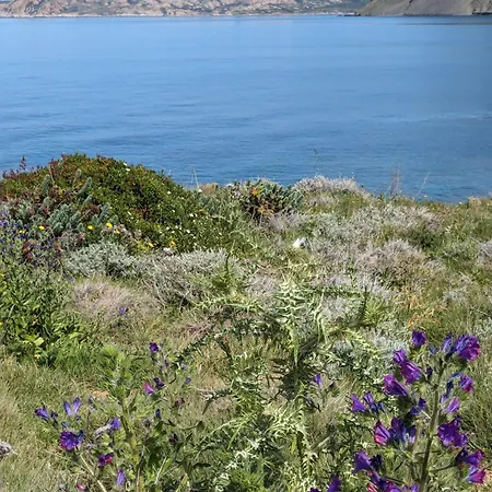 Appartamento A Torra Ville-di-Paraso