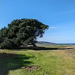 Apartmán A Torra