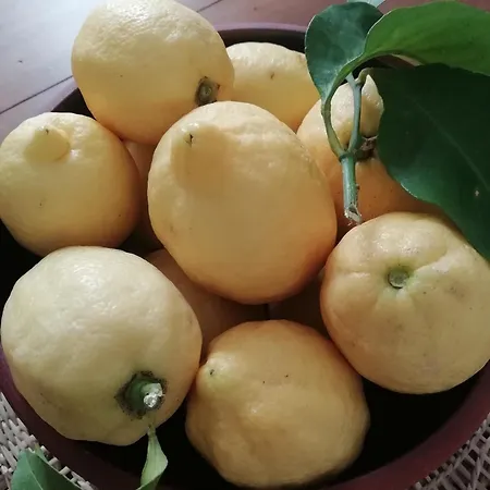 A Torra * Ville-di-Paraso