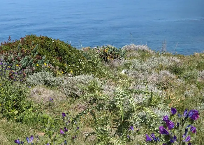 Apartmán A Torra Ville-di-Paraso