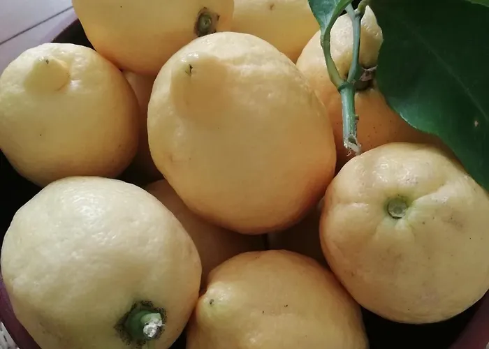 A Torra * Ville-di-Paraso